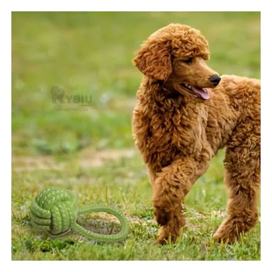 JUGUETE PERRO MA31353 MASTICABLE VERDE + LIGAS REGALO RYBIU