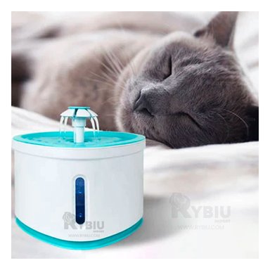 FUENTE PERRO Y GATO MA31417 RYBIU MODERNA AGUA CELESTE + REGALO STICKERS