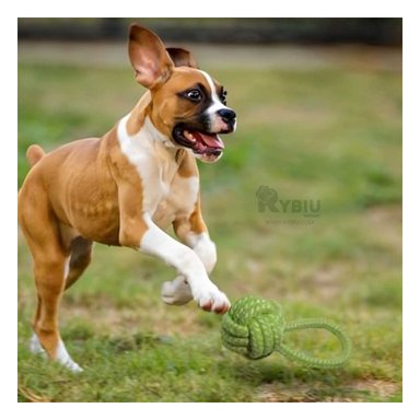 SOGA PERROS MA31353 MORDER LAVABLE VERDE + PAPEL REGALO RYBIU