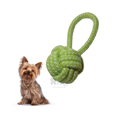 SOGA PERROS MA31353 CON NUDOS EN VERDE + PAPEL REGALO RYBIU