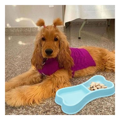 COMEDERO PERRO Y GATO MA31292 RYBIU UTIL TALLA M CELESTE + ENVOLTORIO REGALO