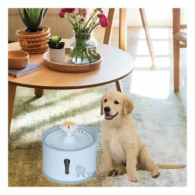 FUENTE GATO MA31412 RYBIU ACERO CELESTE GRIS + PAPEL REGALO