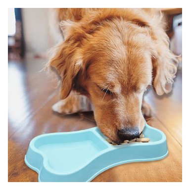 COMEDERO PERRO Y GATO MA31292 RYBIU FUNCIONAL FELINO CELESTE + REGALO AGENDITA