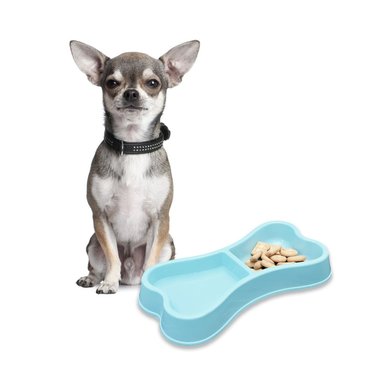 PLATILLO PERRO Y GATO MA31292 RYBIU ESPACIOSO M CELESTE + BANDERITAS ADHESIVAS