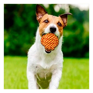 JUGUETE ALGODÓN PERROS Y GATOS MA31255 REDONDO AMARILLO + BANDERITAS ADHESIVAS RYBIU