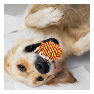 JUGUETE ALGODÓN PERROS MA31255 EN AMARILLO + REGALO LIGAS PEINAR RYBIU