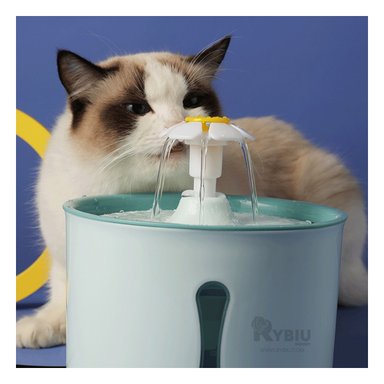 FUENTE PERRO Y GATO MA31411 RYBIU DURADERO MASCOTA VERDE + PAPEL REGALO