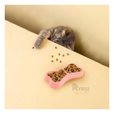 PLATO PERRO Y GATO MA31293 RYBIU DURADERO DOBLE ROSADO + PAPEL REGALO