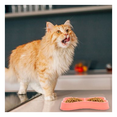 COMEDERO PERRO Y GATO MA31293 RYBIU FUNCIONAL 2 PET ROSADO + ENVOLTORIO REGALO