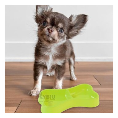 PLATILLO PERRO Y GATO MA31294 RYBIU COMPACTO Y EFICAZ VERDE + BANDERITAS ADHESIVAS