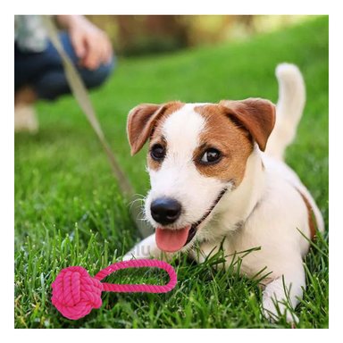 SOGA PERROS MA31352 CON NUDOS EN FUCSIA + PAPEL REGALO RYBIU