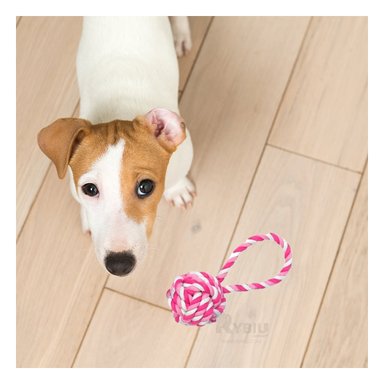 JUGUETE PERROS MA31351 ROSADO + REGALO LIGAS PEINAR RYBIU