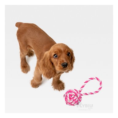 JUGUETE PERRO MA31351 MASTICABLE ROSADO + LIGAS REGALO RYBIU