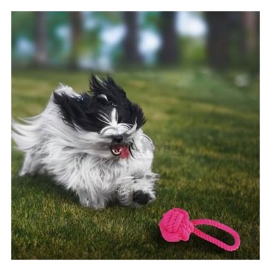 SOGA PERROS MA31352 NO TOXICO EXTRA FUERTE FUCSIA + REGALO AGENDITA RYBIU