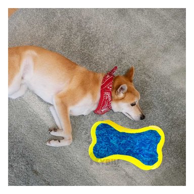 BANDEJA PERRO Y GATO MA31318 RYBIU DURADERA AMARILLO + BANDERITAS ADHESIVAS