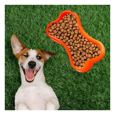 RECIPIENTE PERRO Y GATO MA31319 RYBIU EXOTICO ANARANJADO + REGALO AGENDITA