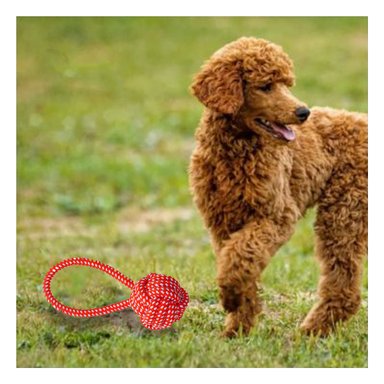 CUERDA PERRO MA31350 CON NUDOS ROJO + REGALO STICKERS RYBIU