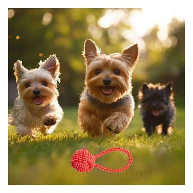 JUGUETE PERRO MA31350 MORDEDOR EN ROJO + BANDERITAS ADHESIVAS RYBIU