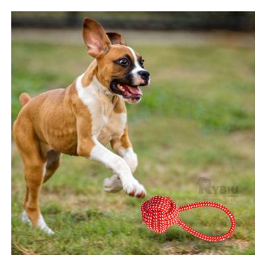 CUERDA PERROS MA31350 LAVABLE ROJO + ENVOLTORIO REGALO RYBIU