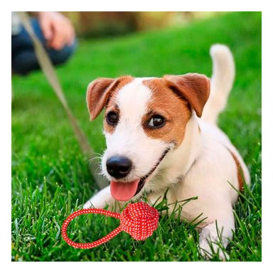 CUERDA PERROS MA31350 CANINOS PASEOS EN ROJO + GIFT STICKERS RYBIU