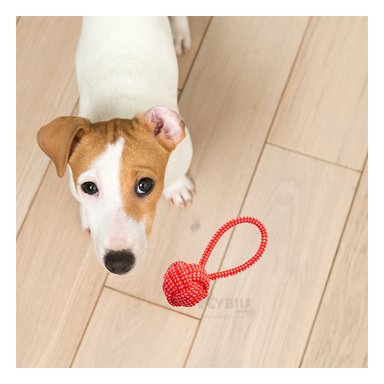 CUERDA PERROS MA31350 JALAR ROJO + REGALO AGENDITA RYBIU