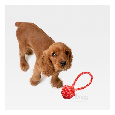 JUGUETE PERROS MA31350 MORDEDOR GRANDE ROJO + POST IT ADHESIVOS RYBIU