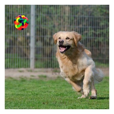 PELOTA PERROS Y GATOS MA31259 MASCOTAS EN MULTICOLOR + PAPEL REGALO RYBIU