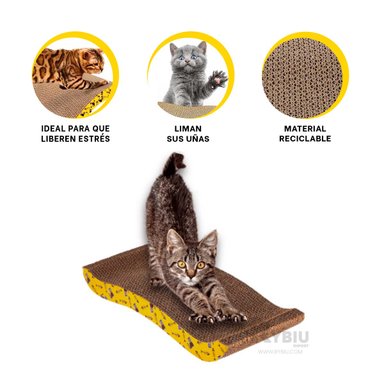 RASCADOR CARTÓN GATOS 264/1672 FROTADOR BONITO RELAJACION + LIGAS REGALO RYBIU