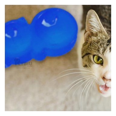 PLATO COMIDA GATO MA31288 RYBIU DOBLE M AZUL + PAPEL REGALO