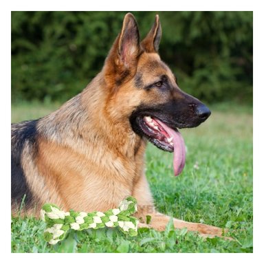 HUESITO JUGUETE ALGODÓN PERROS MA29937 PERFECTO JUEGOS VERDE + BANDERITAS ADHESIVAS RYBIU