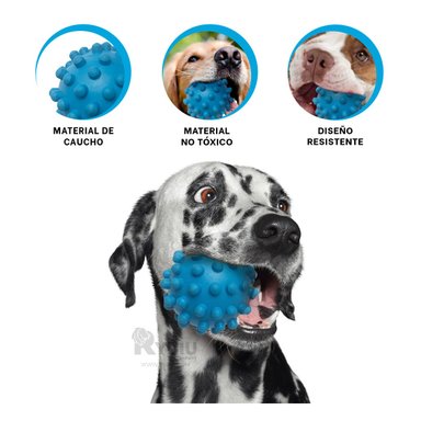 PELOTA CAUCHO PERRO MA31156 DIVERTIDA CELESTE + GIFT STICKERS RYBIU