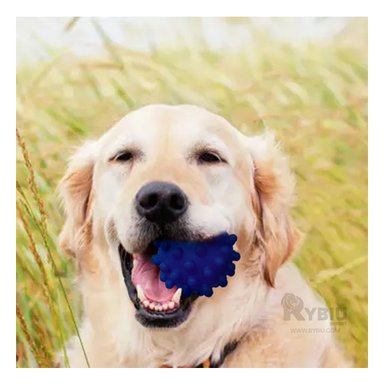 PELOTA CAUCHO PERROS MA31155 JUGUETE EN AZUL + GIFT MINIAGENDA RYBIU