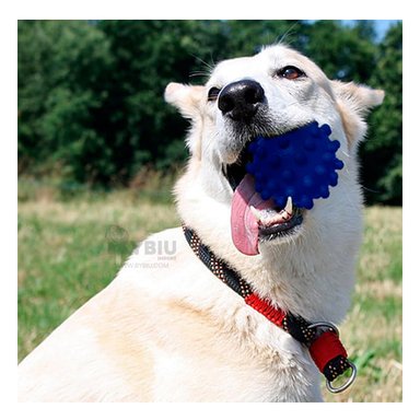 JUGUETE CAUCHO PERROS MA31155 PORTATIL FORMA CHIRIMOLLA DISEÑO AZUL RYBIU