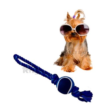 JUGUETE PERROS MA31355 CUERDA MORDISQUEAR EN AZUL NOCTURNO + REGALO STICKERS RYBIU