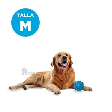 PELOTITA CAUCHO PERROS MA31156 EFICAZ Y VERSATIL EN CELESTE + BANDERITAS ADHESIVAS RYBIU