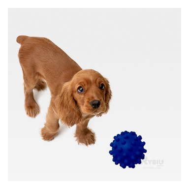 PELOTA CAUCHO PERROS MA31155 DIVERTIDA AZUL + GIFT STICKERS RYBIU