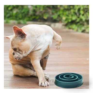 PLATO MASCOTAS PERRO Y GATO MA31303 RYBIU DIVERTIDO VERDE + PAPEL REGALO