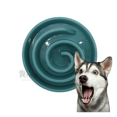 COMEDERO PERRO MA31303 RYBIU SOSEGANTE VERDE + ENVOLTORIO REGALO