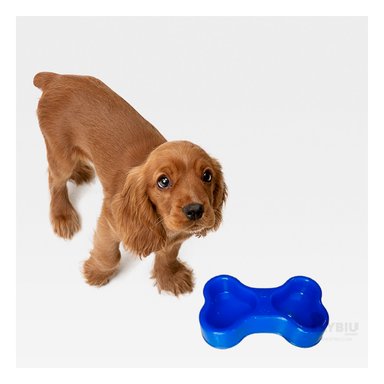 PLATILLO PERRO Y GATO MA31295 RYBIU CANINOS DOBLE AZUL + POST-IT ADHESIVOS