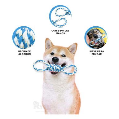 SOGA PERROS MA31104 SEGURA TODA RAZA CELESTE + REGALO AGENDITA RYBIU