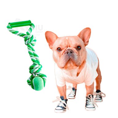 SOGA PERROS MA31370 CORDON RESISTENTE TENNIS VERDE + LIGAS REGALO RYBIU