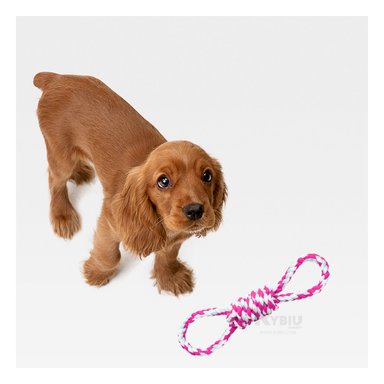 SOGA RYBIU MA31098 ANTIDESGASTE FUNCIONAL ROSA + GIFT MINIAGENDA