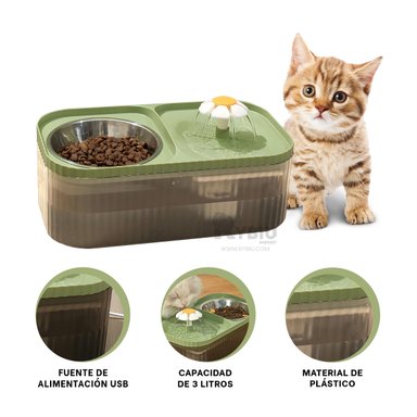 FUENTE PERRO Y GATO MA31406 RYBIU CON FORMA RECTANGULAR DOBLE VERDE + PAPEL REGALO