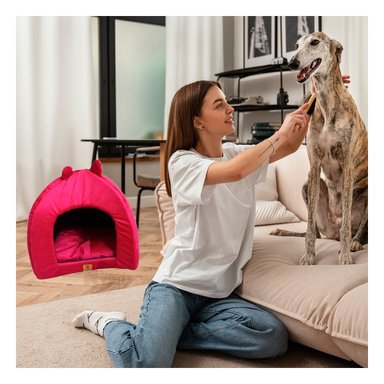 CAMA PERROS GATOS MA29094 LITERA SEGURO CANESTALLA S ROJO RYBIU + POST-IT ADHESIVOS