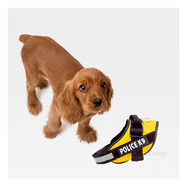 PECHERA PERROS MA30957 RYBIU APTA AMARILLO + LIGAS REGALO