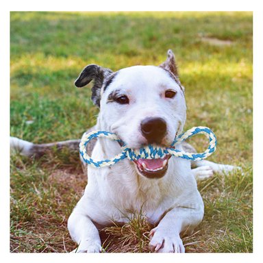 JUGUETE RYBIU MA31098 MODERNO EN TURQUESA + LIGAS REGALO