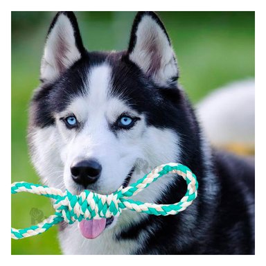 CUERDA RYBIU MA31098 ENTRETENIDA MASCOTAS TURQUESA + REGALO STICKERS