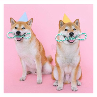 CUERDA RYBIU MA31098 ANTIDESGASTE PERROS TURQUESA + REGALO AGENDITA