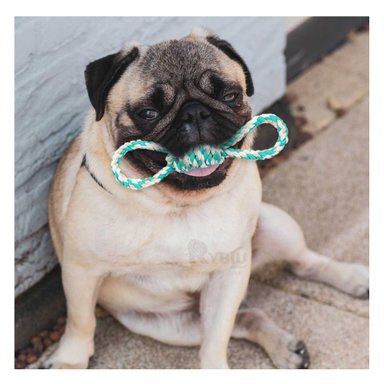 CUERDA RYBIU MA31098 MULTIFUNCIONAL 4 NUDOS PET TURQUESA