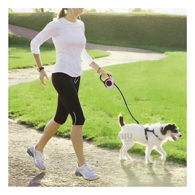 SOGA MASCOTAS MA31383 RYBIU PLEGABLE 5M EN ROSADO + PAPEL REGALO